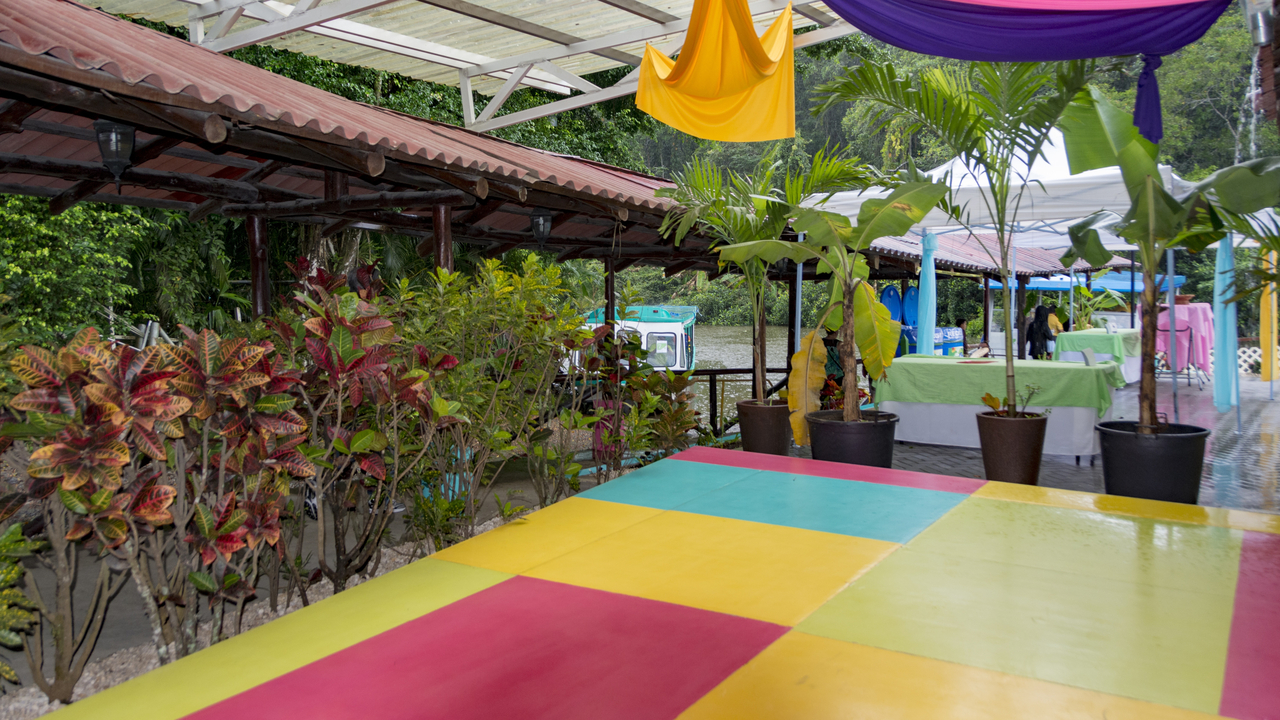 20171230 002   Tortuguero National Park, Puerto Limon, Limon, Costa Rica